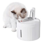 Drinking Fountain
