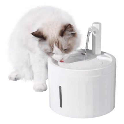 Drinking Fountain