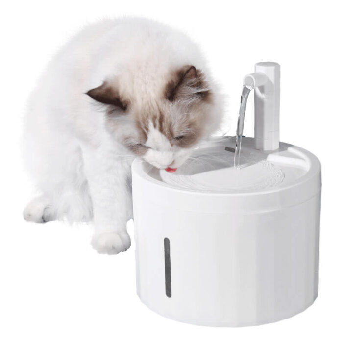 Drinking Fountain