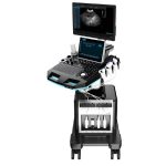 3D&4D Color Doppler Ultrasound