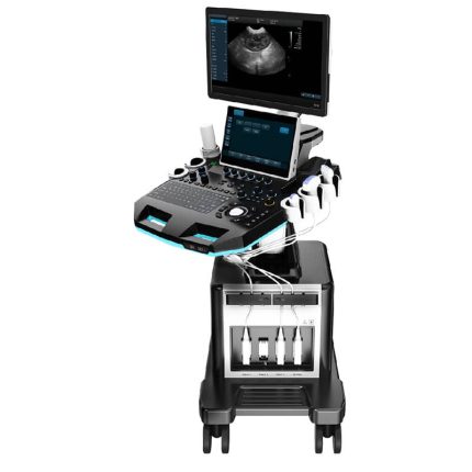 3D&4D Color Doppler Ultrasound