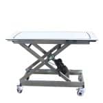 Stainless Steel Carbon Transfer Vehicle