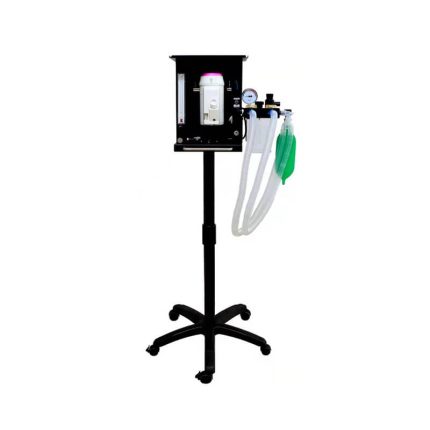 Vet Anesthesia